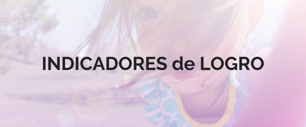 qué son los indicadores de logro