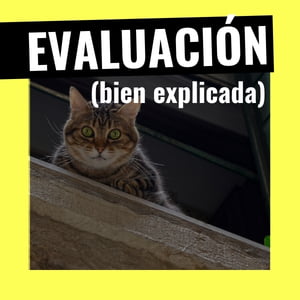 evaluación formativa