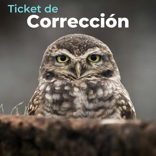 Ticket de Corrección