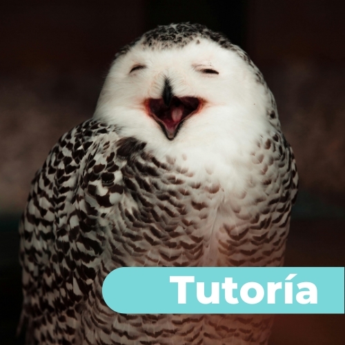 Tutoría_programación-didáctica